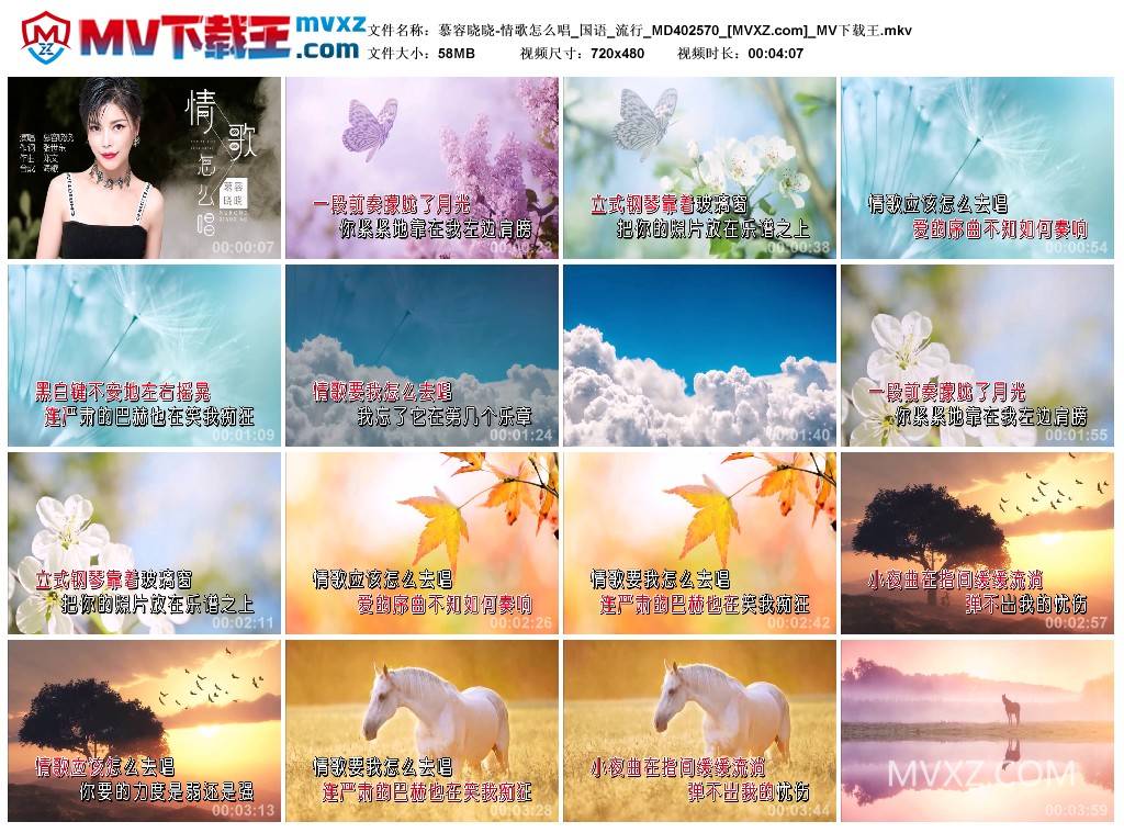 慕容晓晓-情歌怎么唱_国语_流行_MD402570